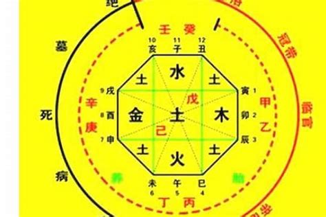 喜神 木|生辰八字算命、五行喜用神查询（免费测算）